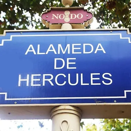 Soleado, Familiar, Alegre Y Tranquilo A Un Paseo De La Catedral 公寓 *